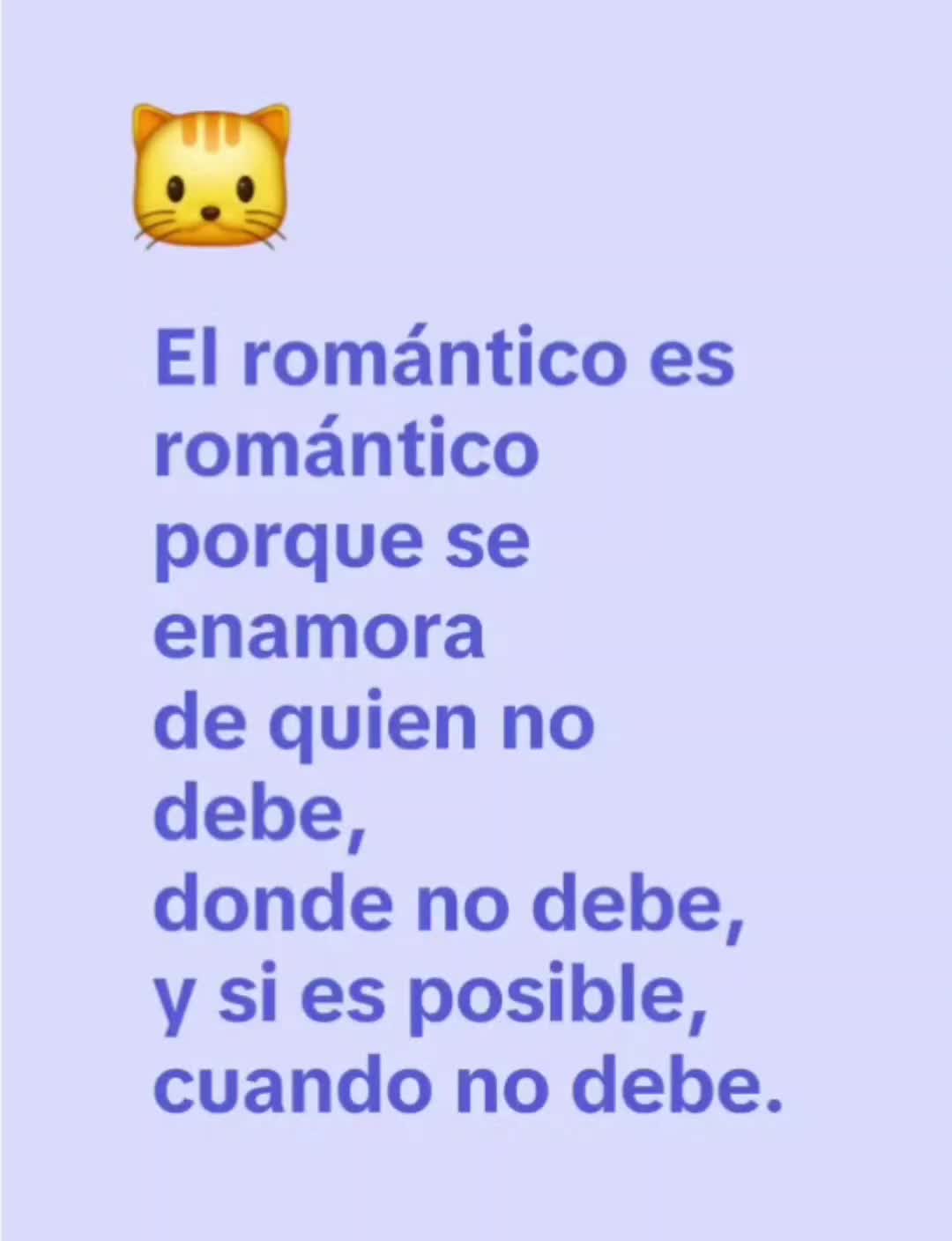 @el panda solitario