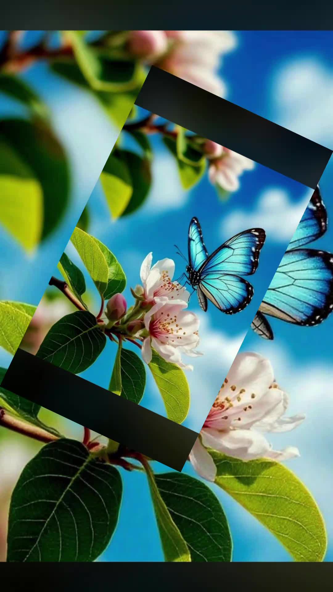 @&hearts;️NEFESİm OL YETER&hearts;️🌹