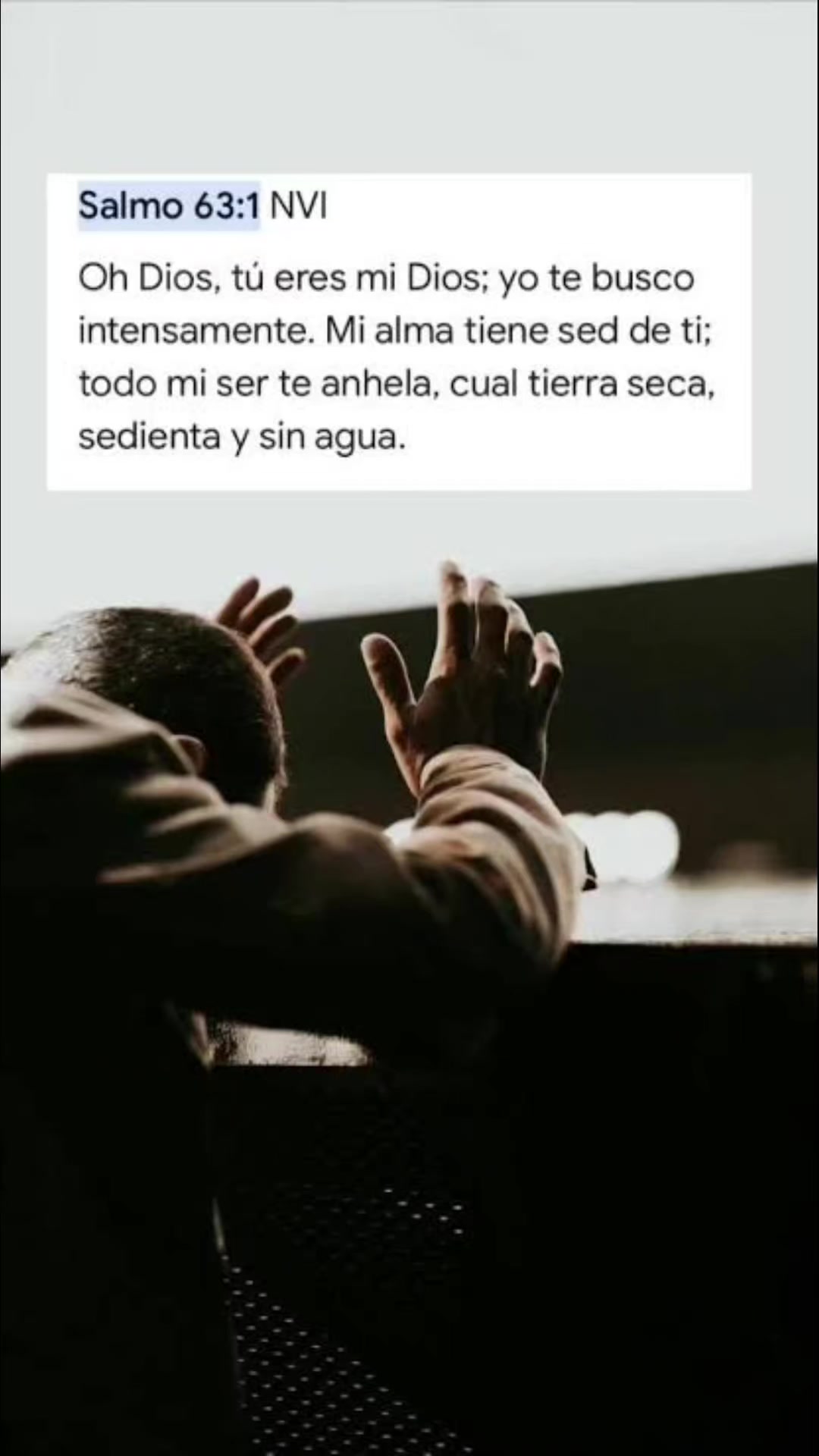 @amparo