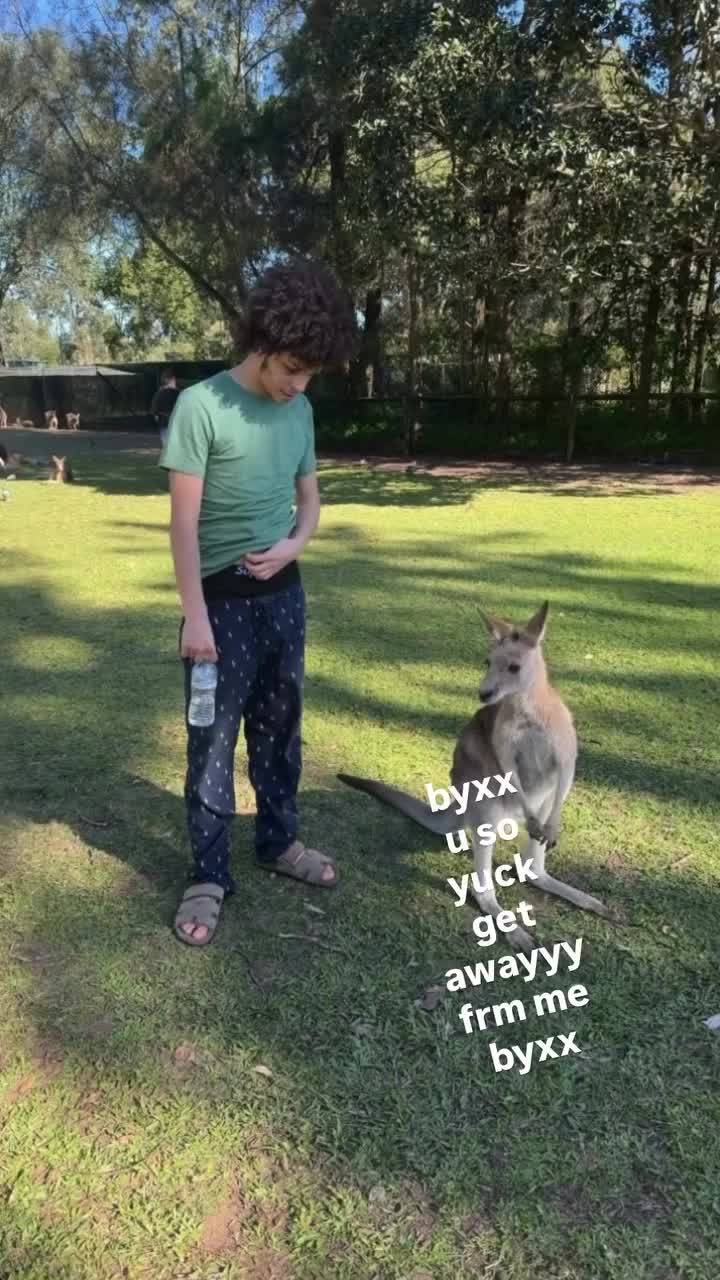 @leangutt