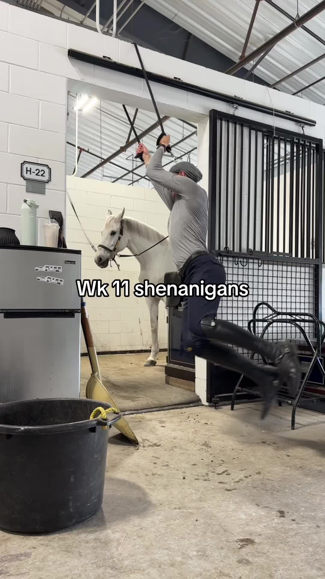 @Landon