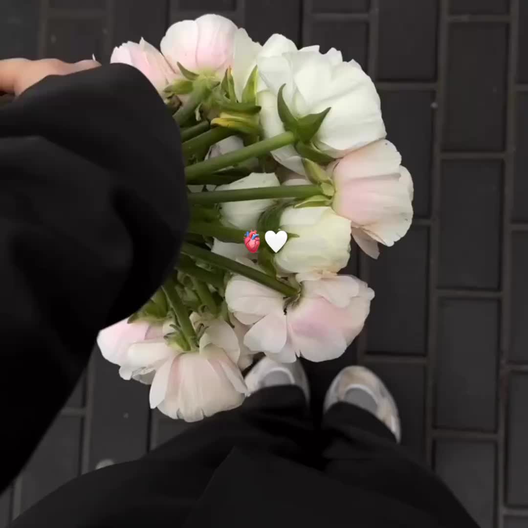 @Elisa or lisa💗
