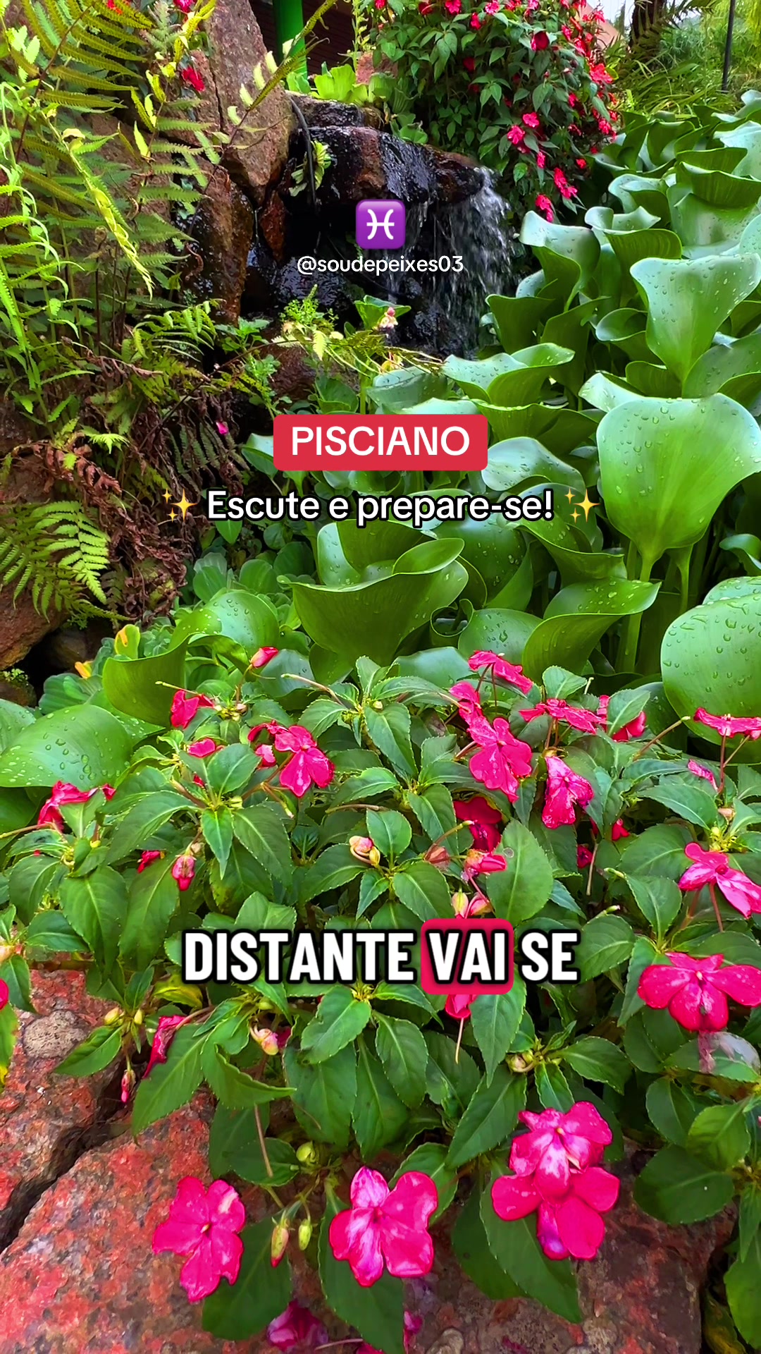 @soudepeixes