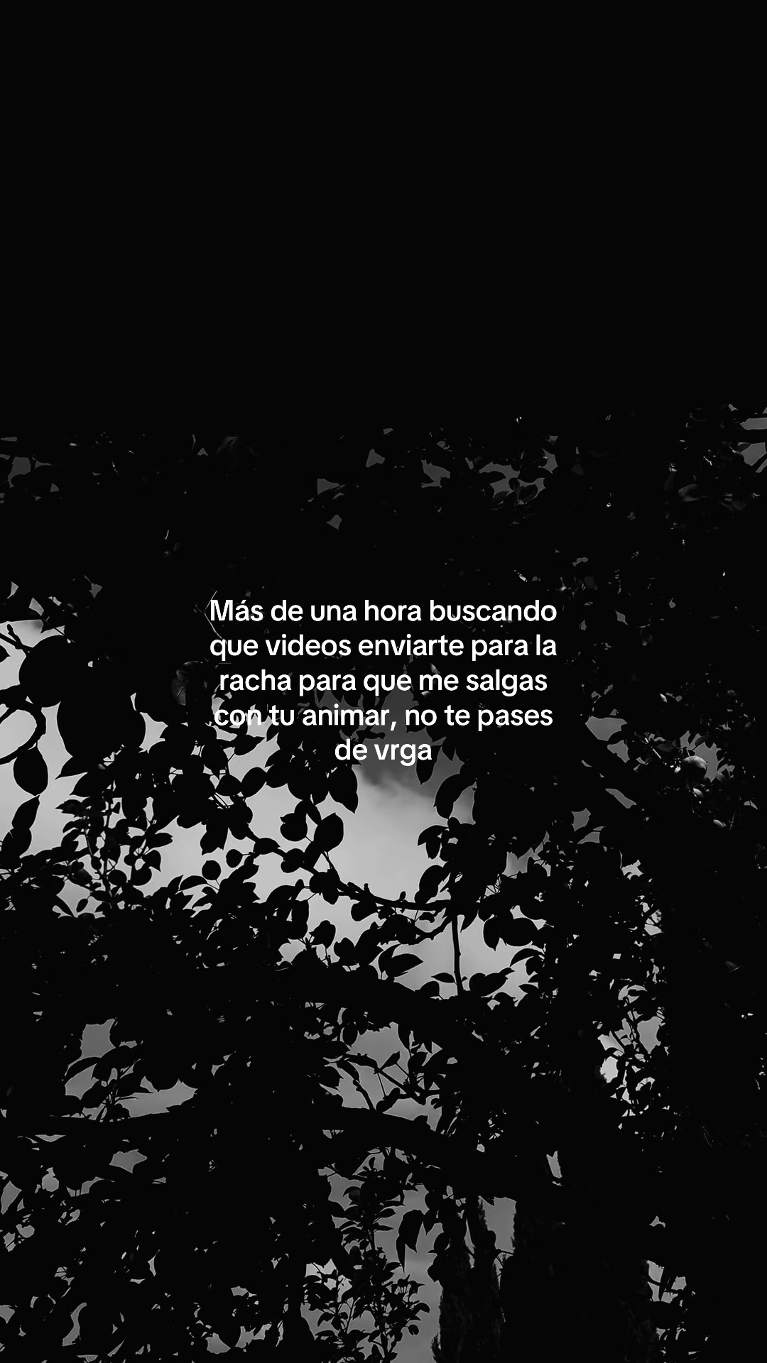 @Videos Para La Rachita