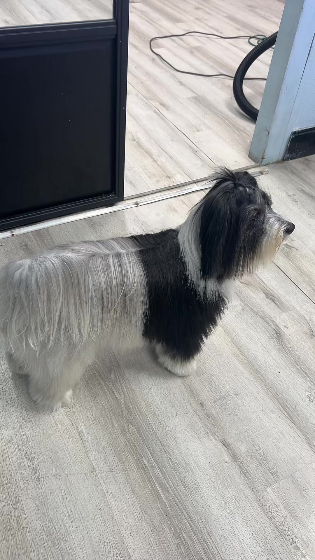 @Dog & Cat Planet