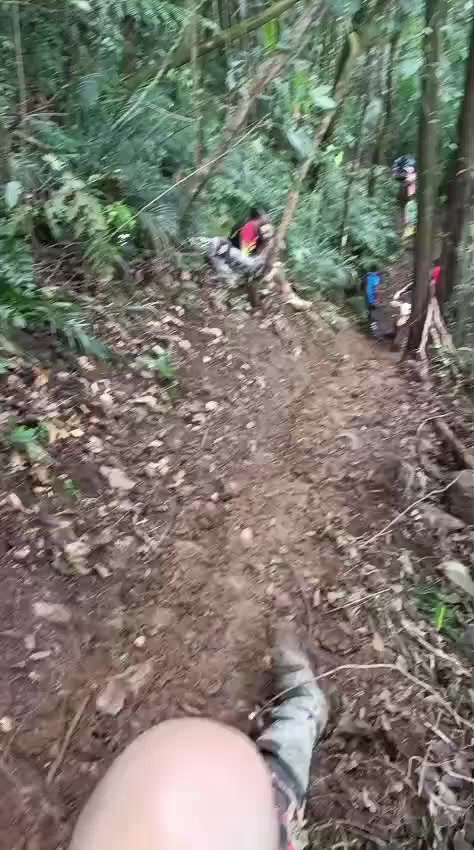 @Daniel De Oliveira D