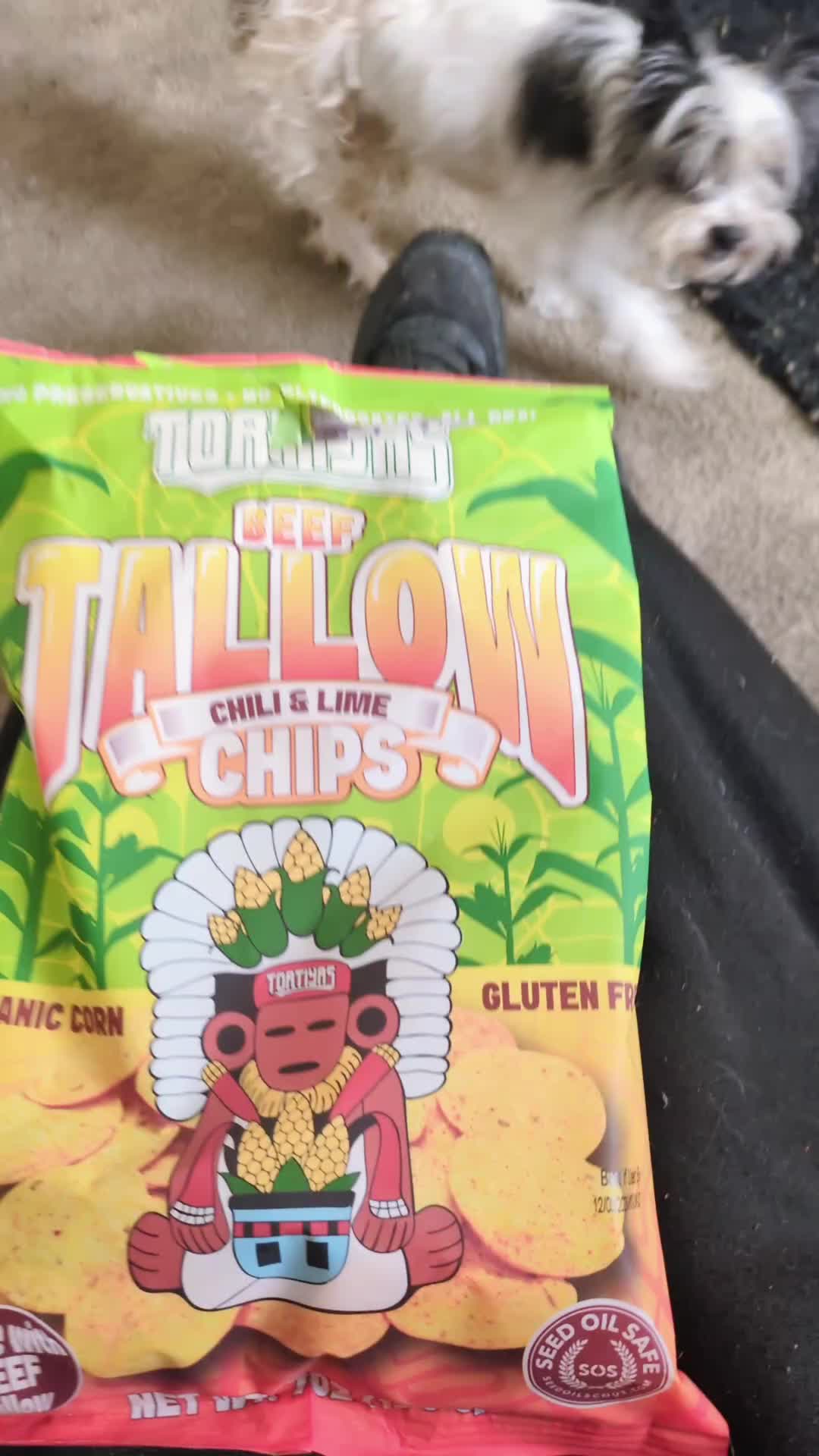 @Ch&uacute;🐨