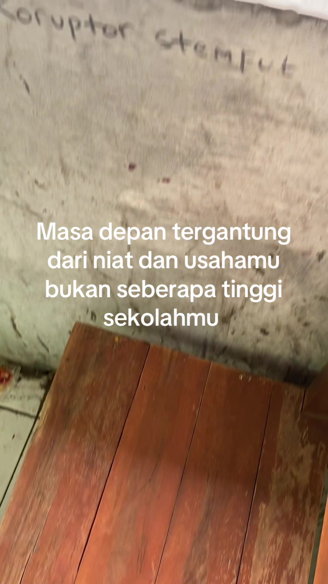 @ig:penjolll_21
