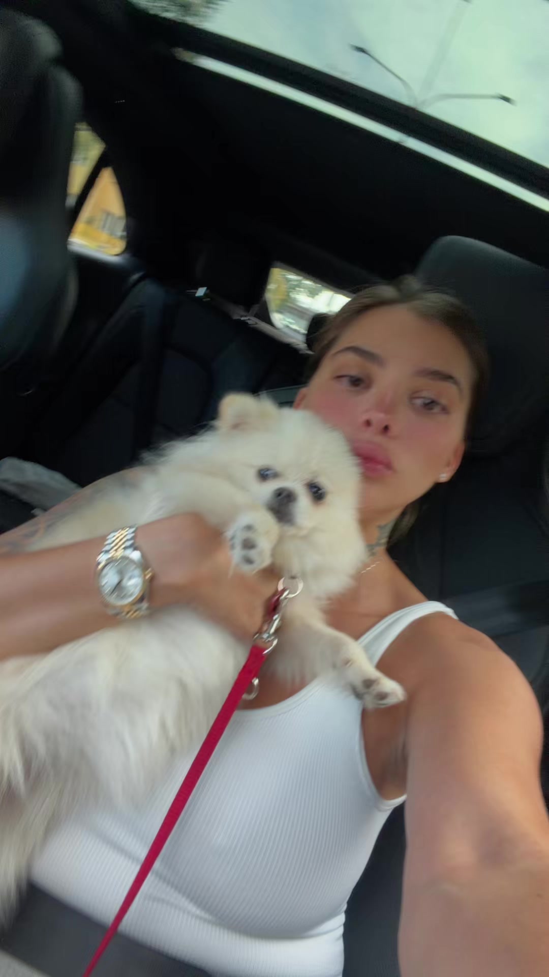 @Simona Avasiloaie