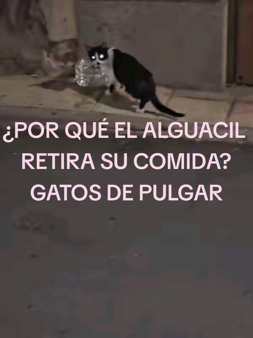 @garritasespaciales
