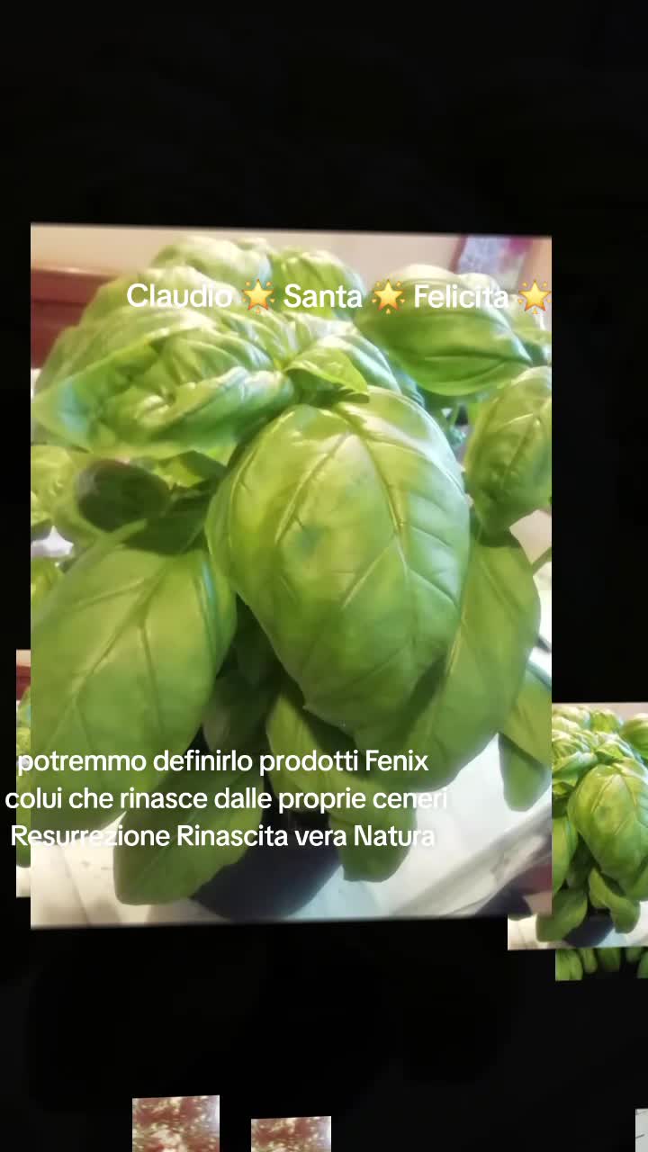 @Claudio Santa Felicita