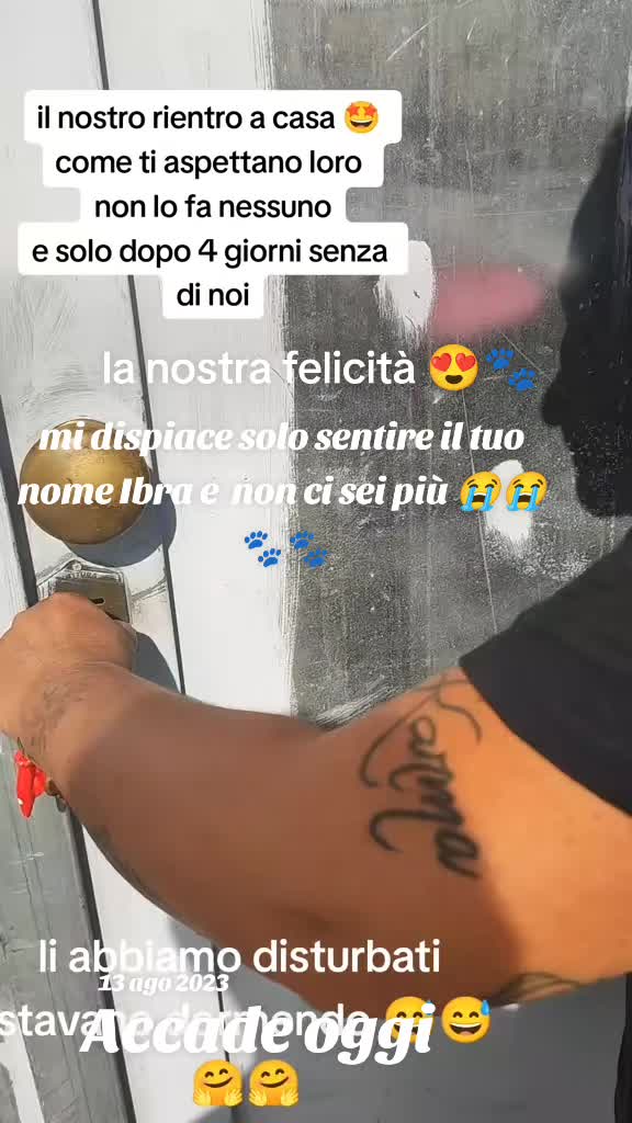@la famiglia con i cani 🐾🥰