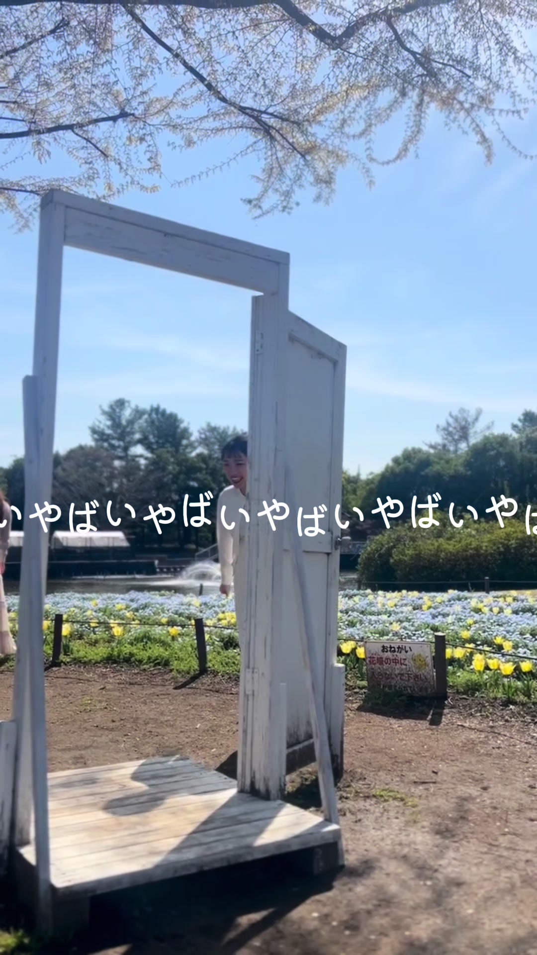 @なるみ先生　保育士の転職