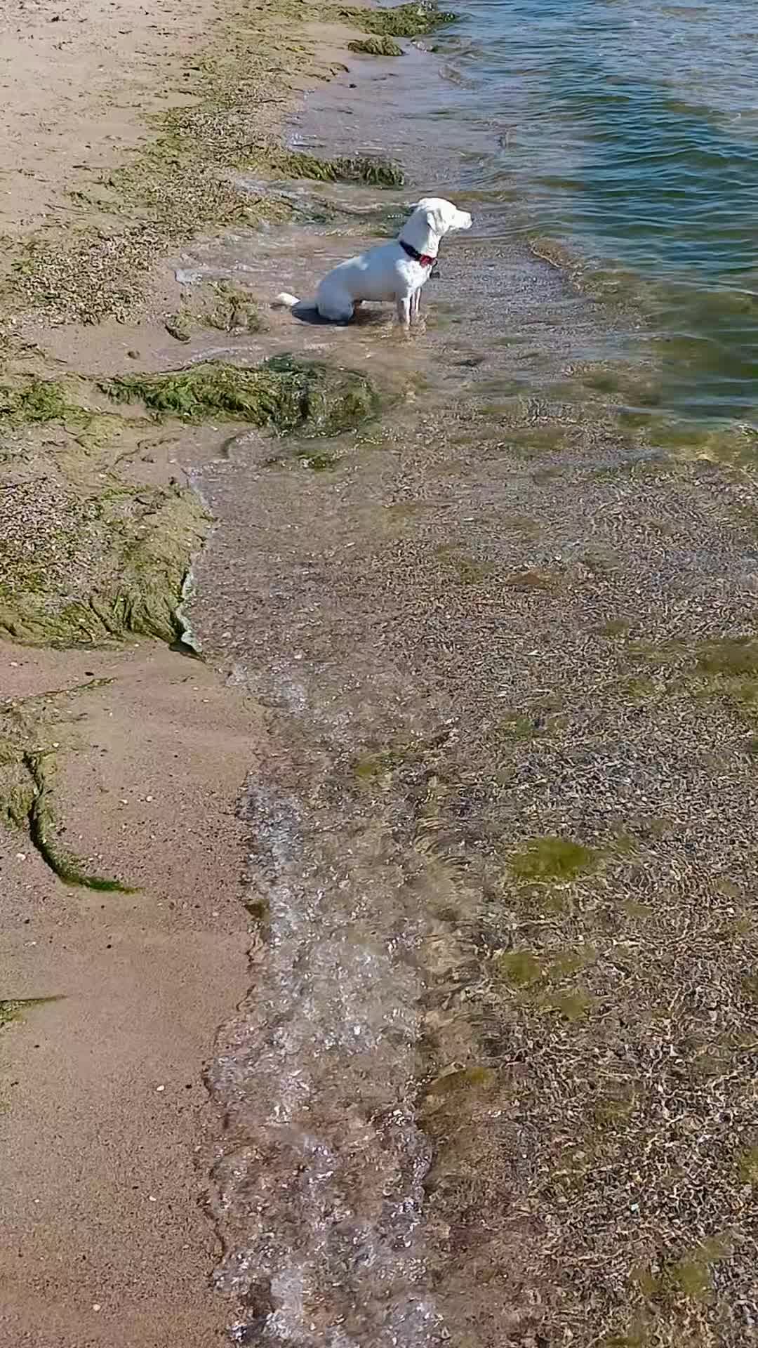 @живу..😉😉😉
