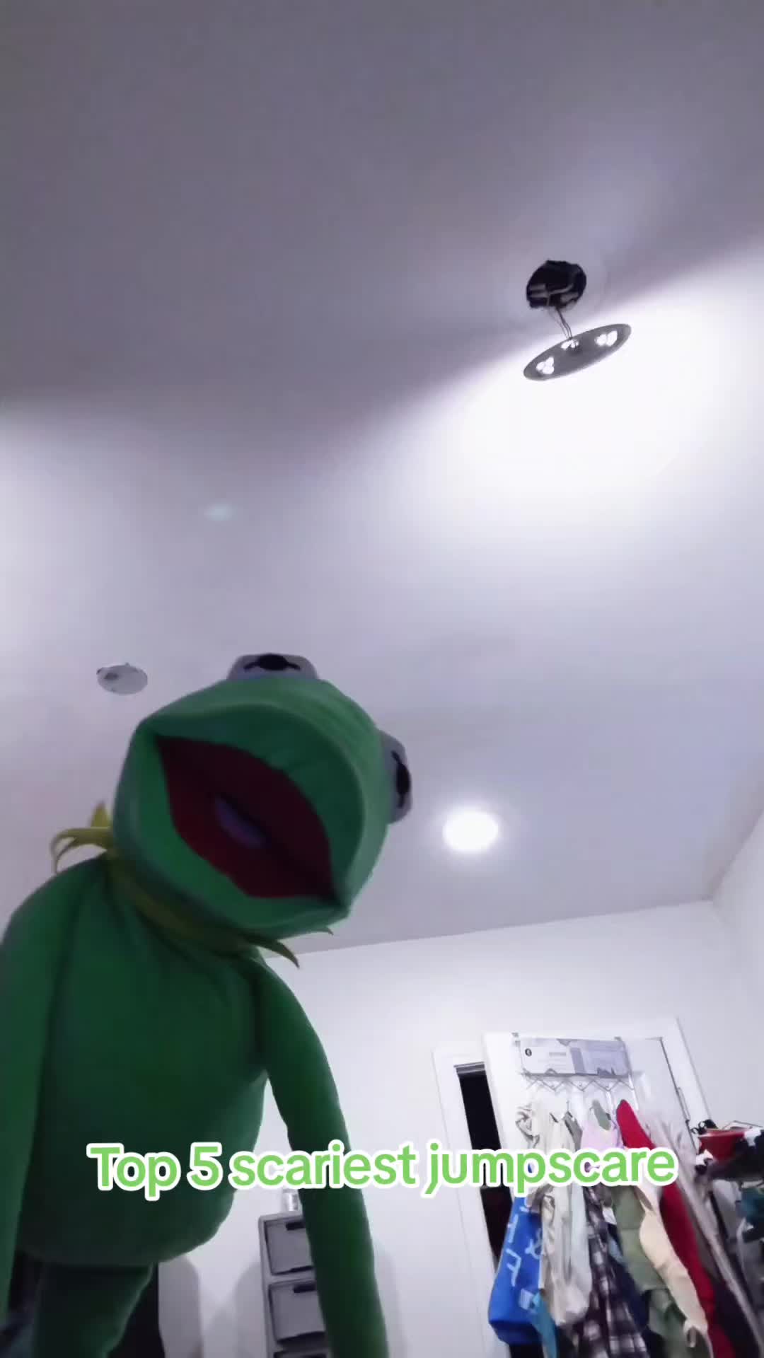 @Kermit And Friends 2026