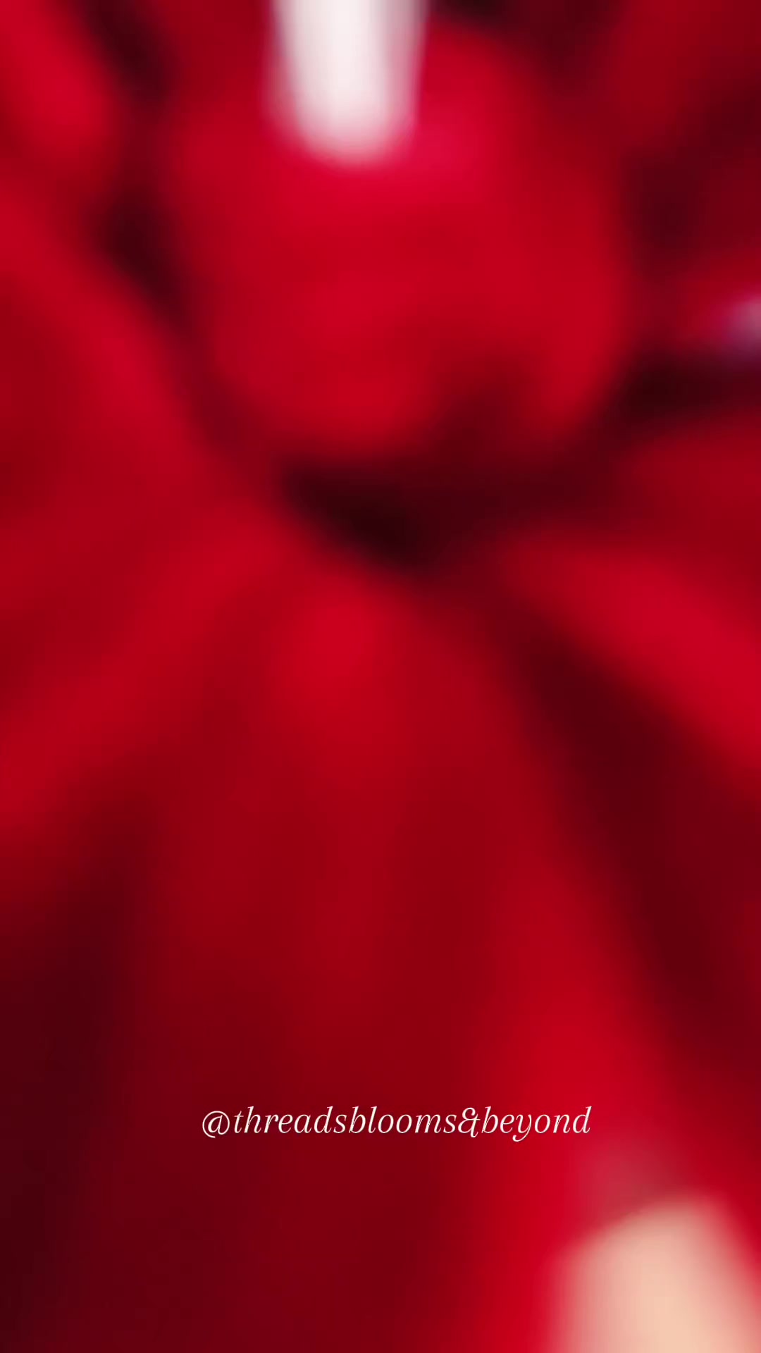 @emi 🦋