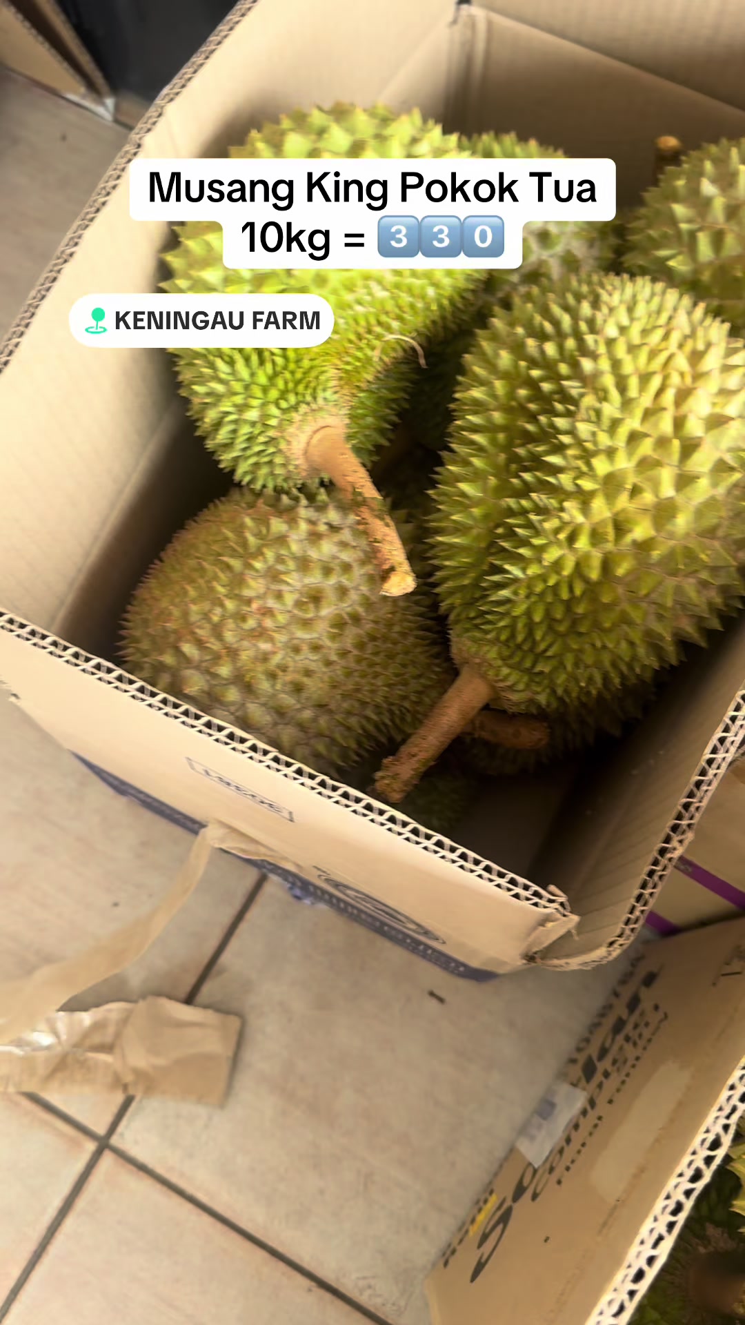 @Keningau Farm