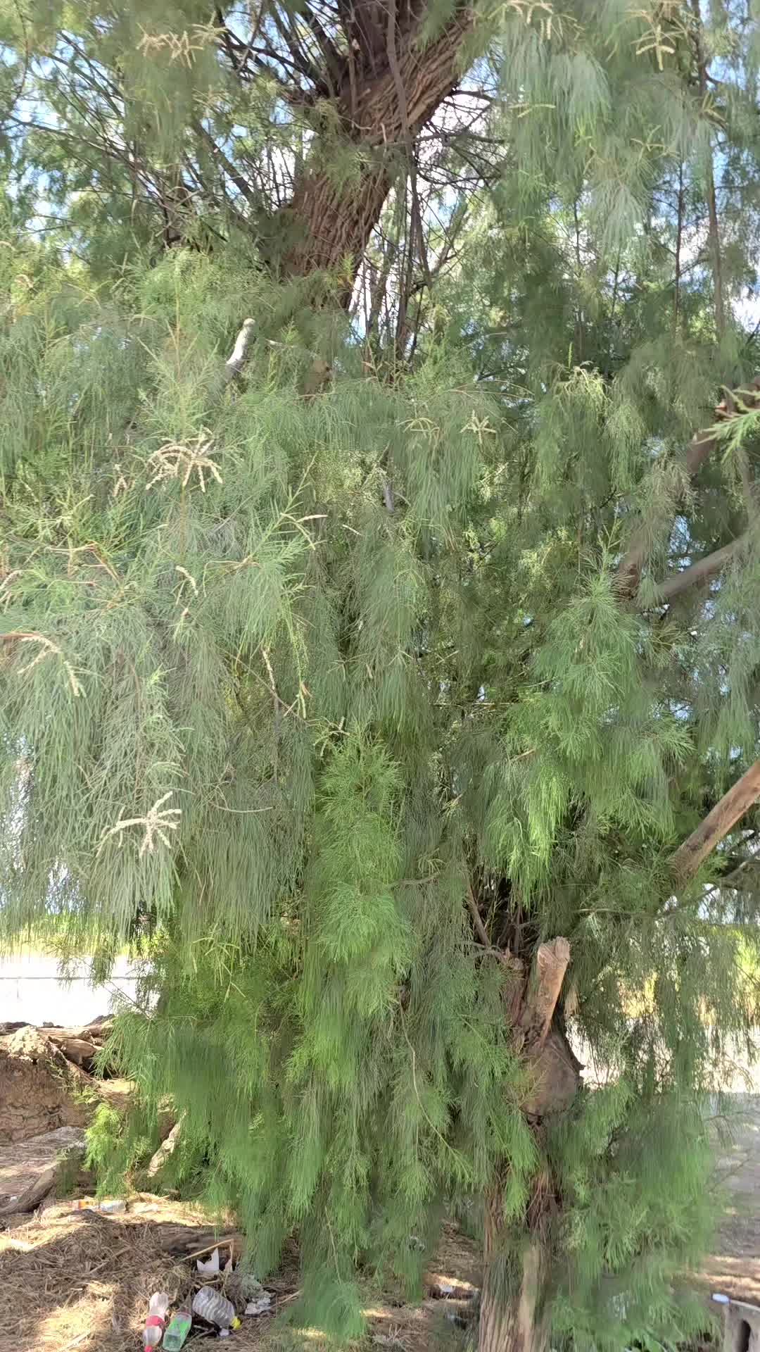 @user54510064172