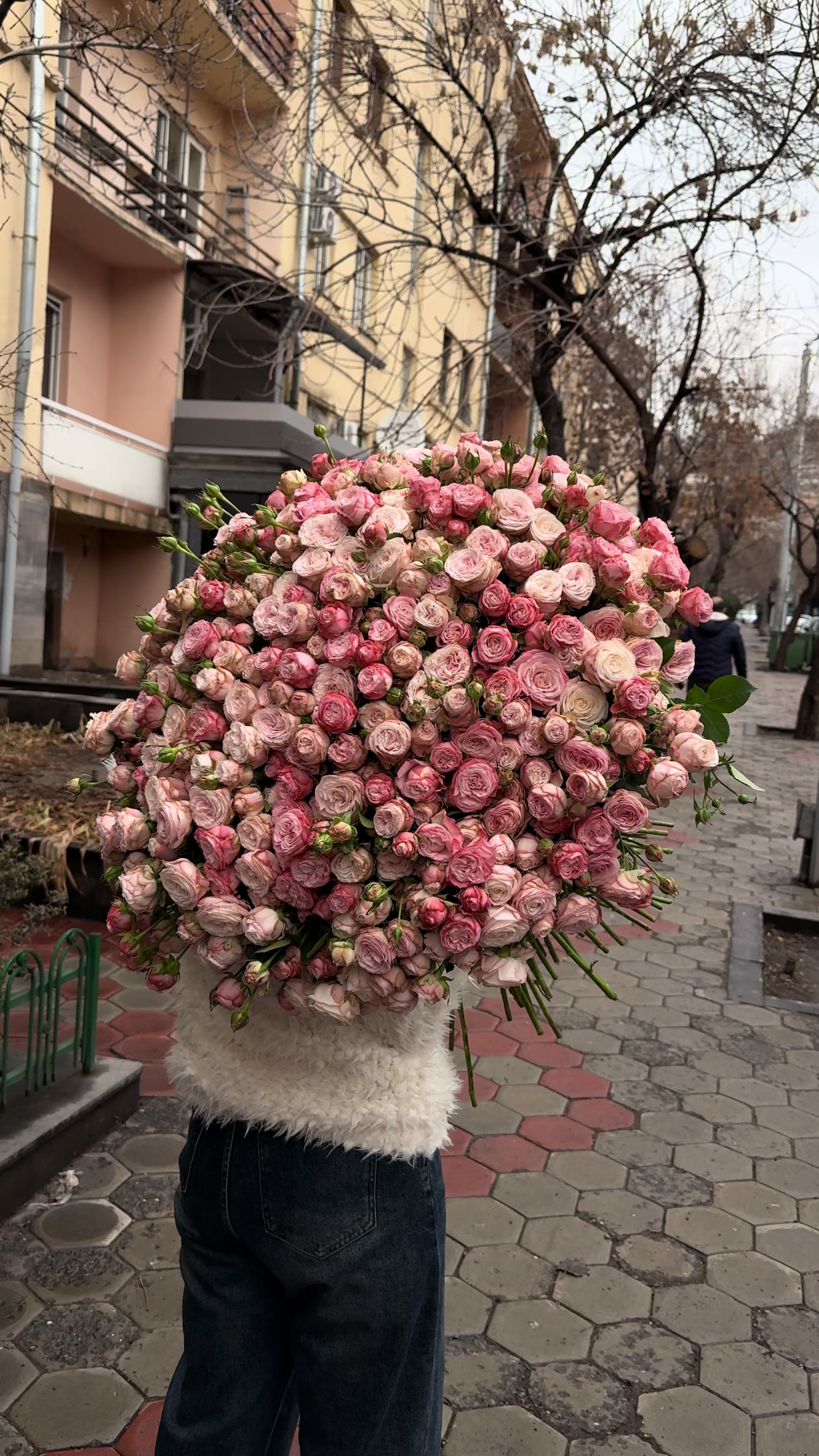 @Daisy_flowers_yerevan