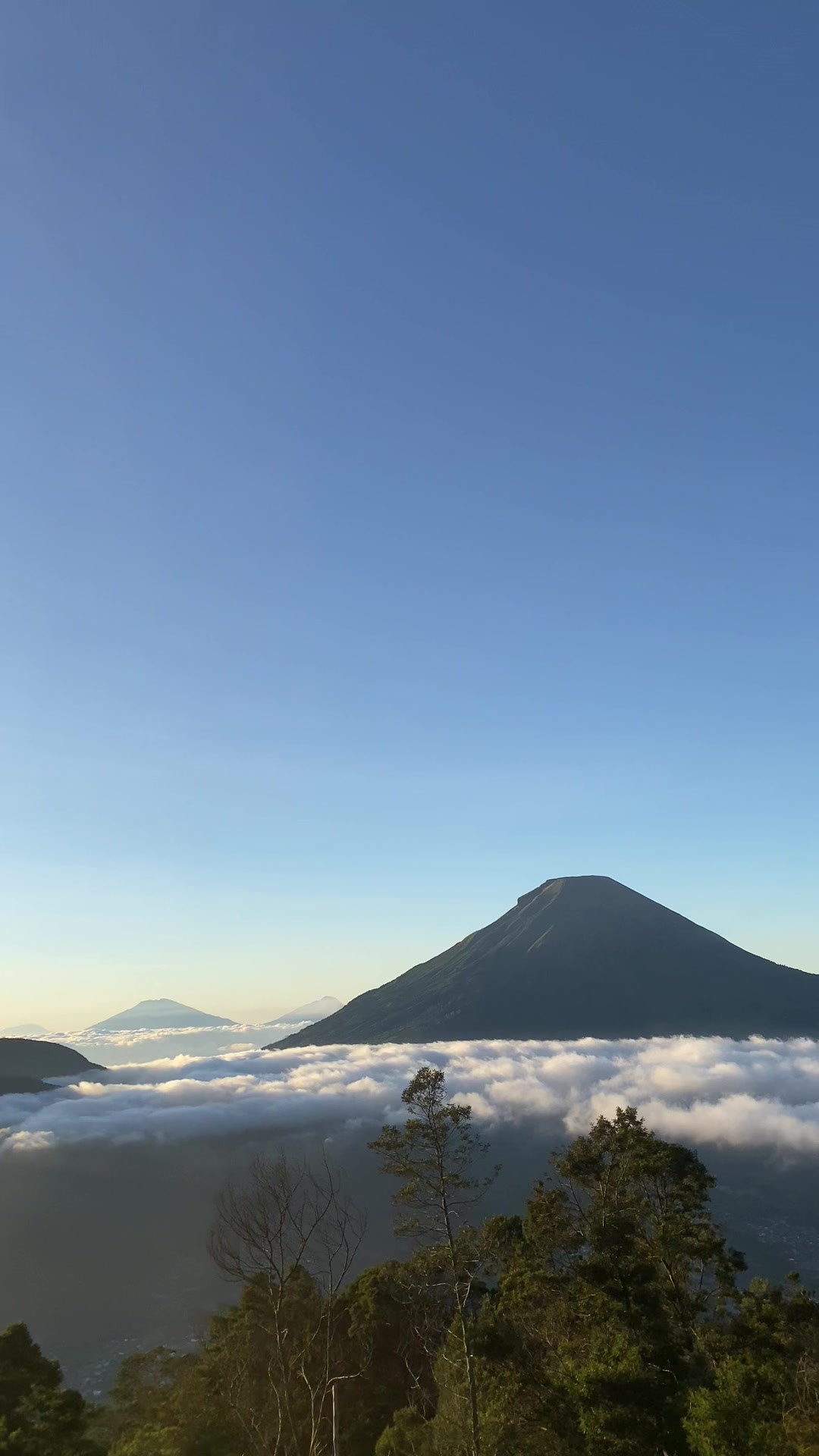 @AJi Haryono