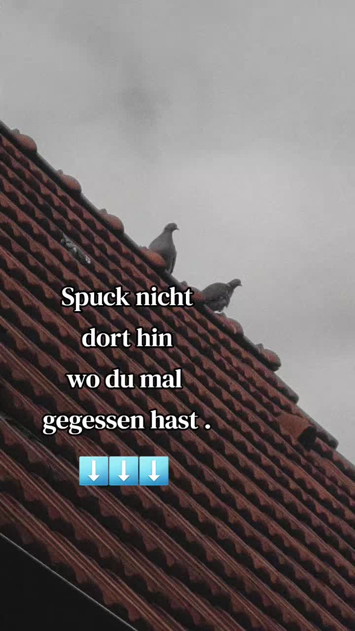@Sandra.Wie.