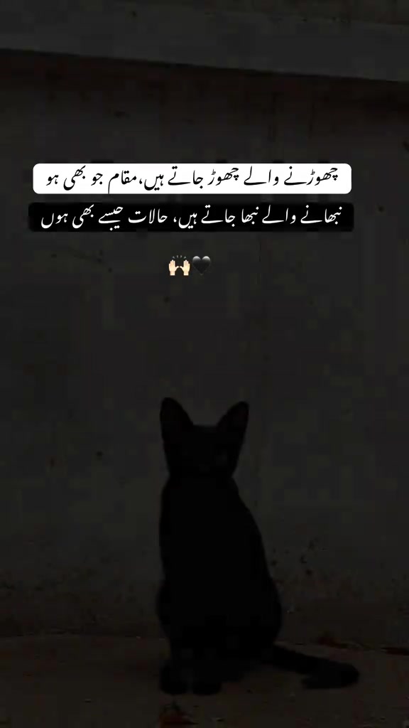 @Tayyab Khan