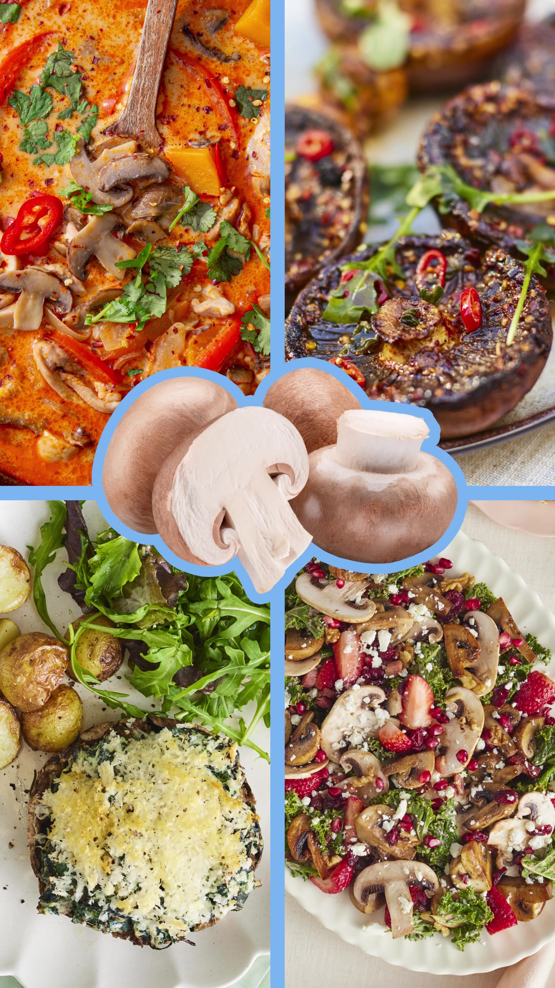 @Make it a Mushroom Moment