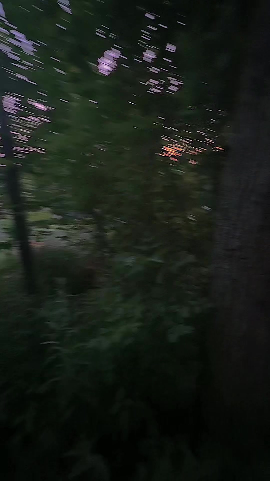 @Thatonefairy4ever