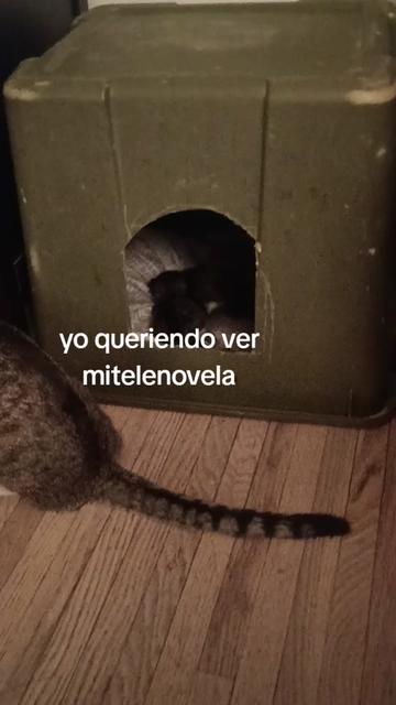 @Jose Hernandez