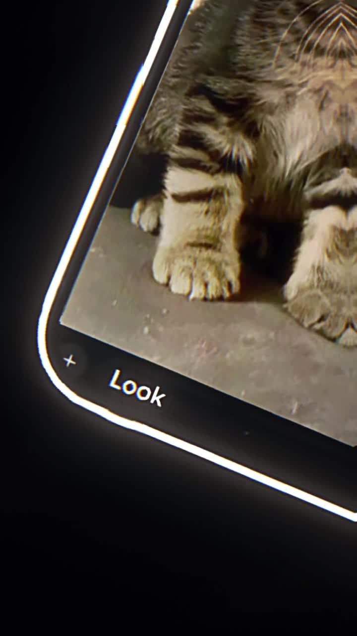 @cat army