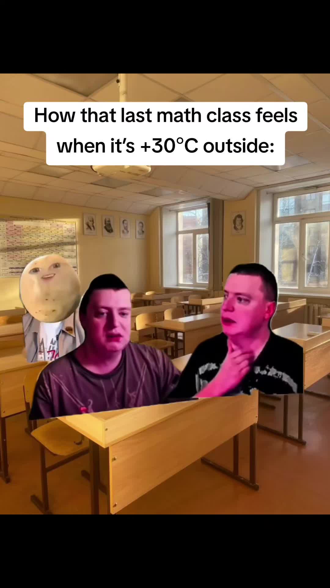 @mymemes