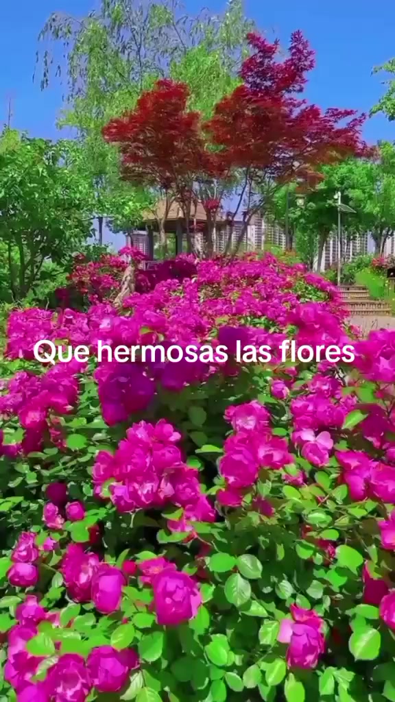 @maribe.galisia