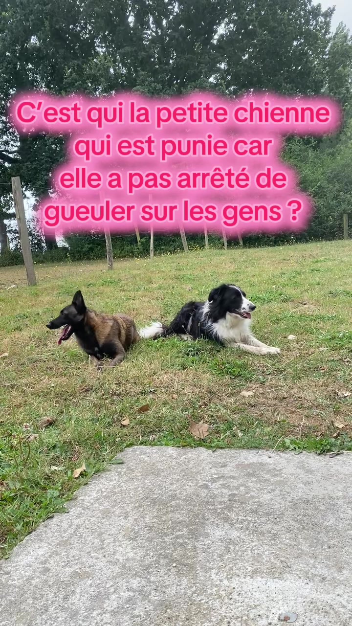 @PacoPacoPaco_le_chien