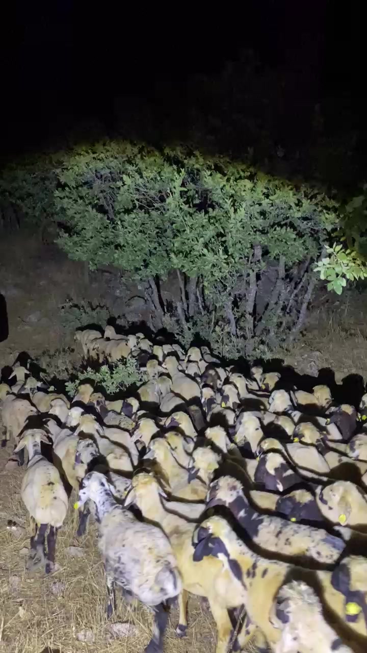 @21çermik