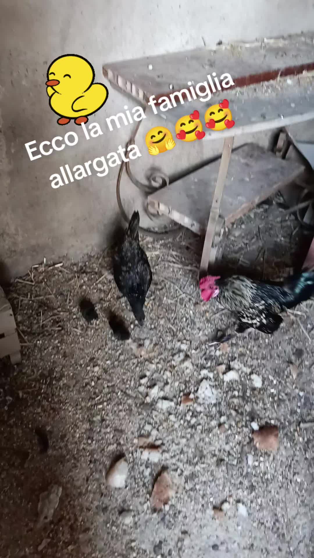 @ELE..meglio folli che noiosi