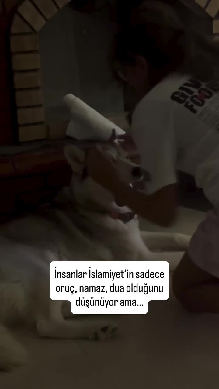 @SeSsiZzLik