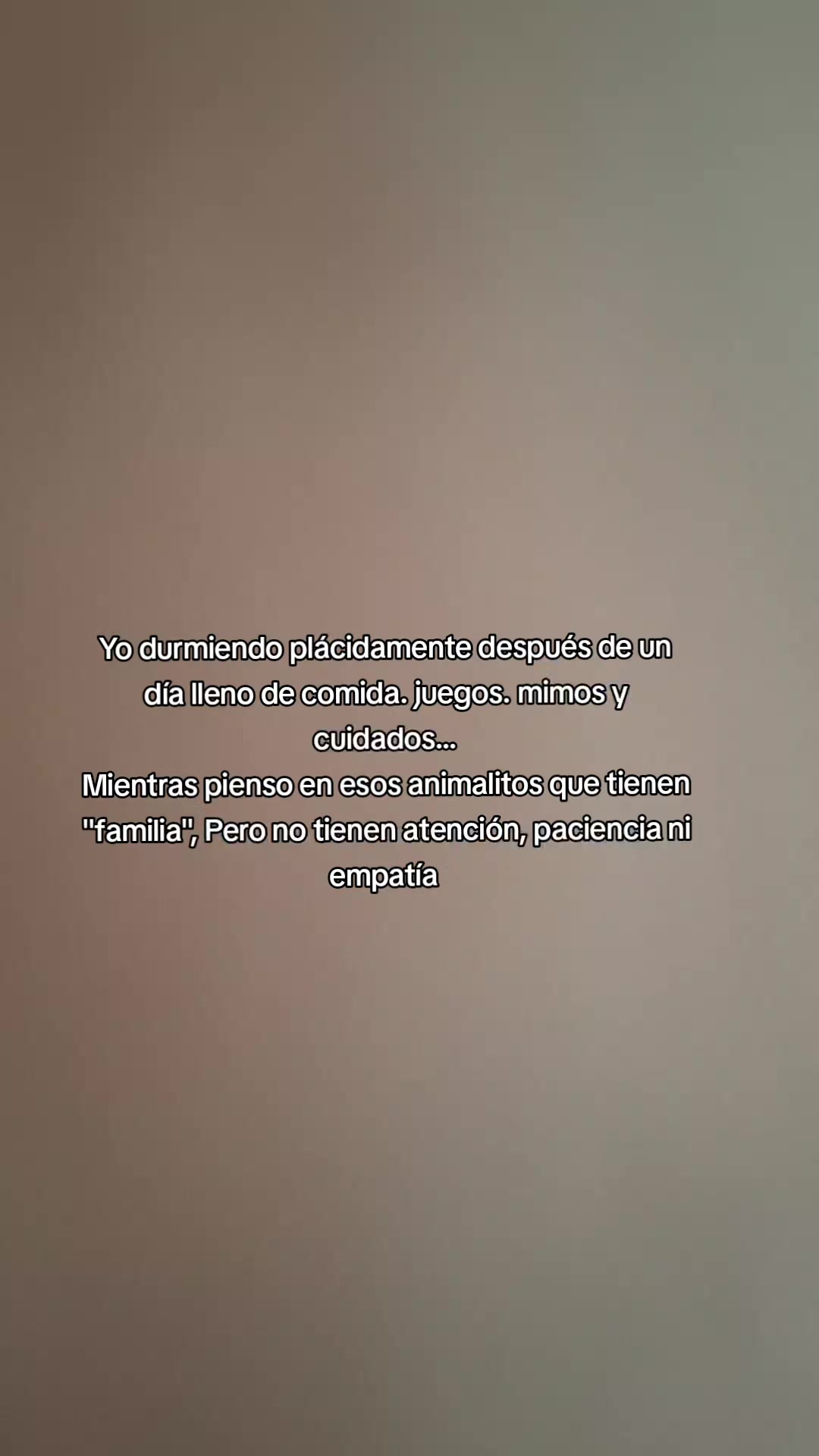 @🐷Ibi.pig🐷
