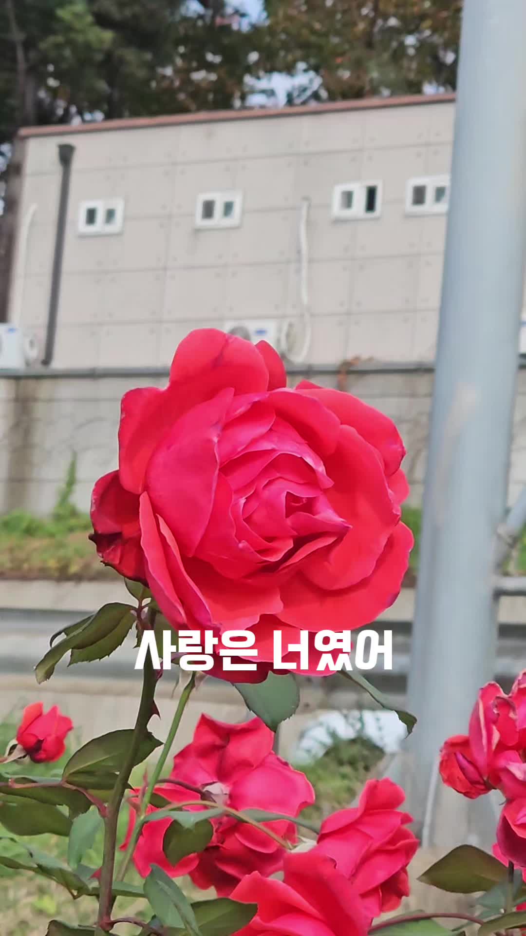 @여행.건강 전도사