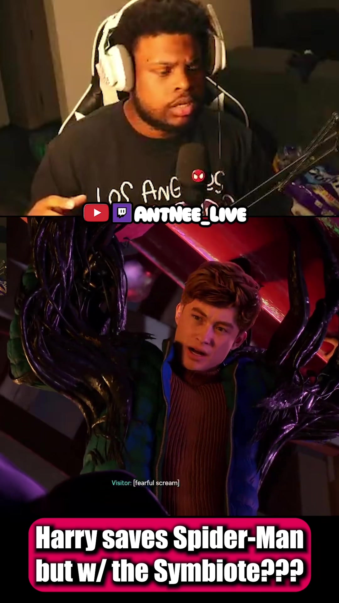 @AntNee Live