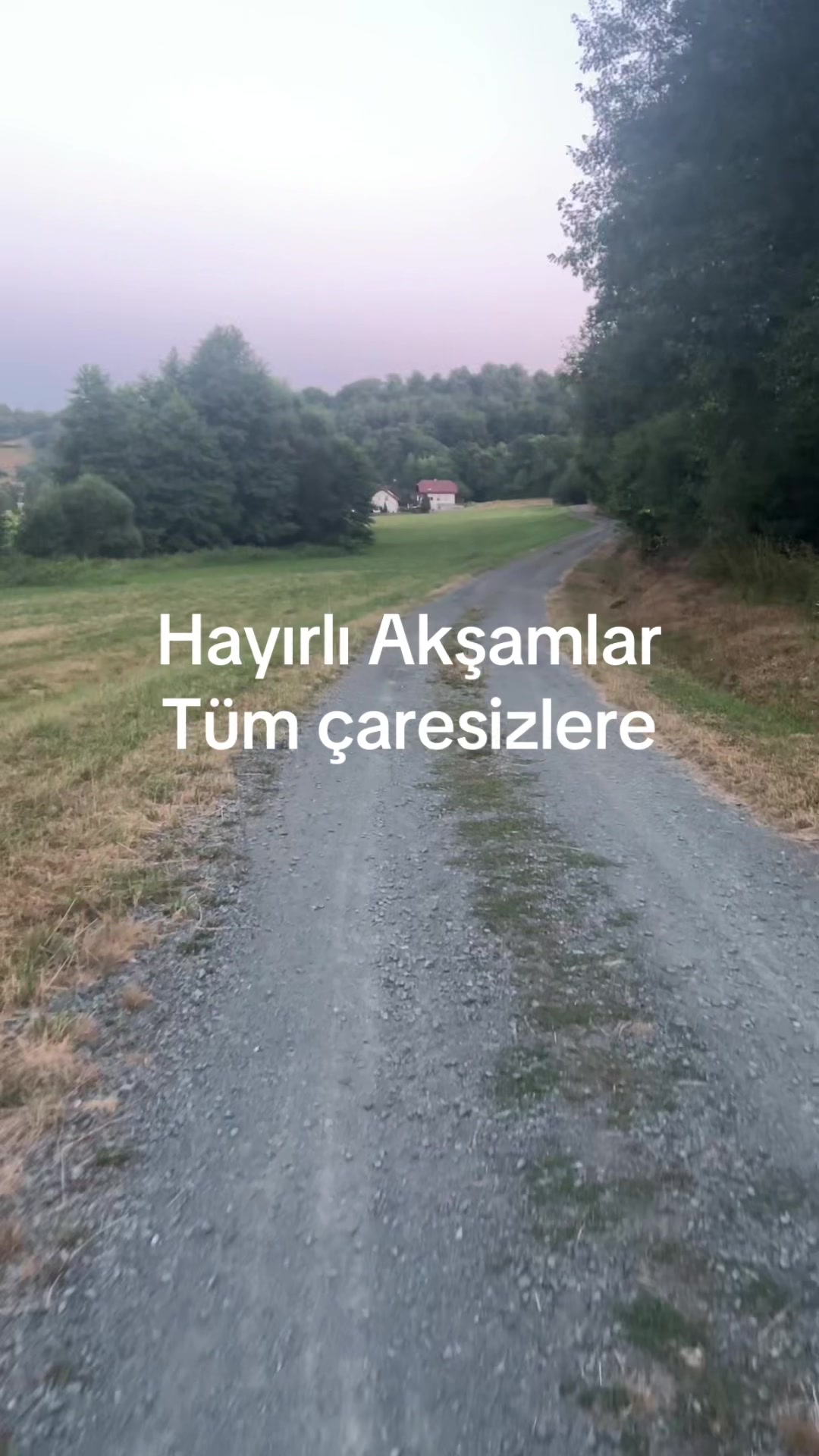 @🇹🇷Brad Gonyali Pitt🇩🇪