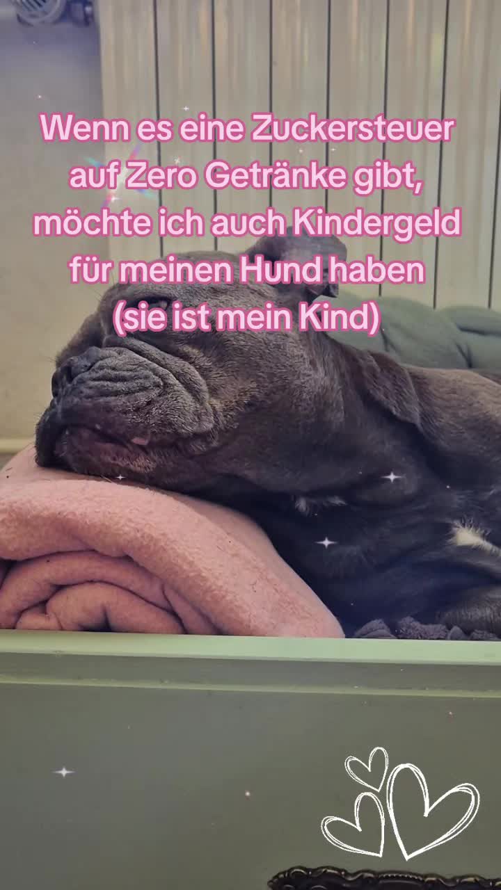 @FrenchieFrieda