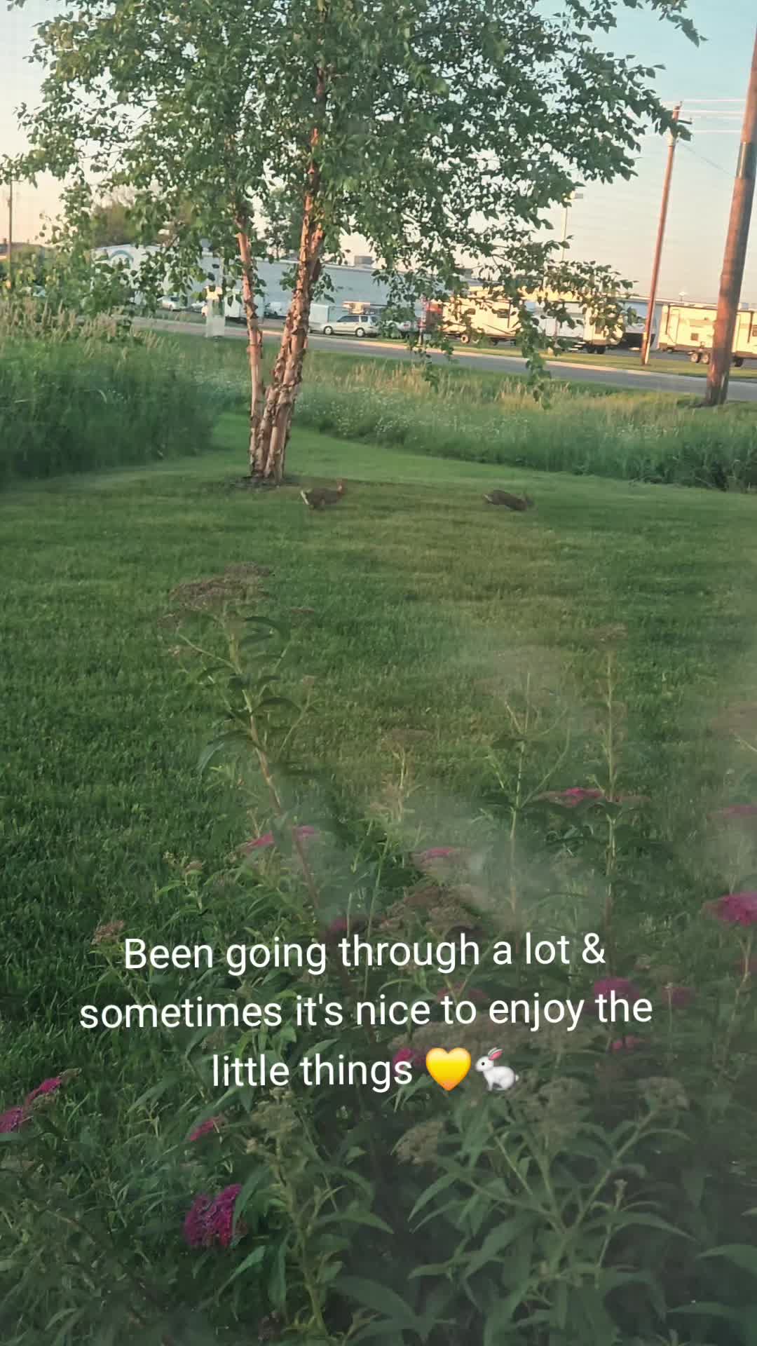 @Marissa 🐿