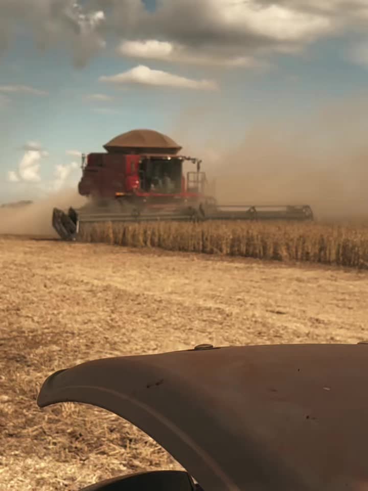 @AGRO_OFICIAL_BR