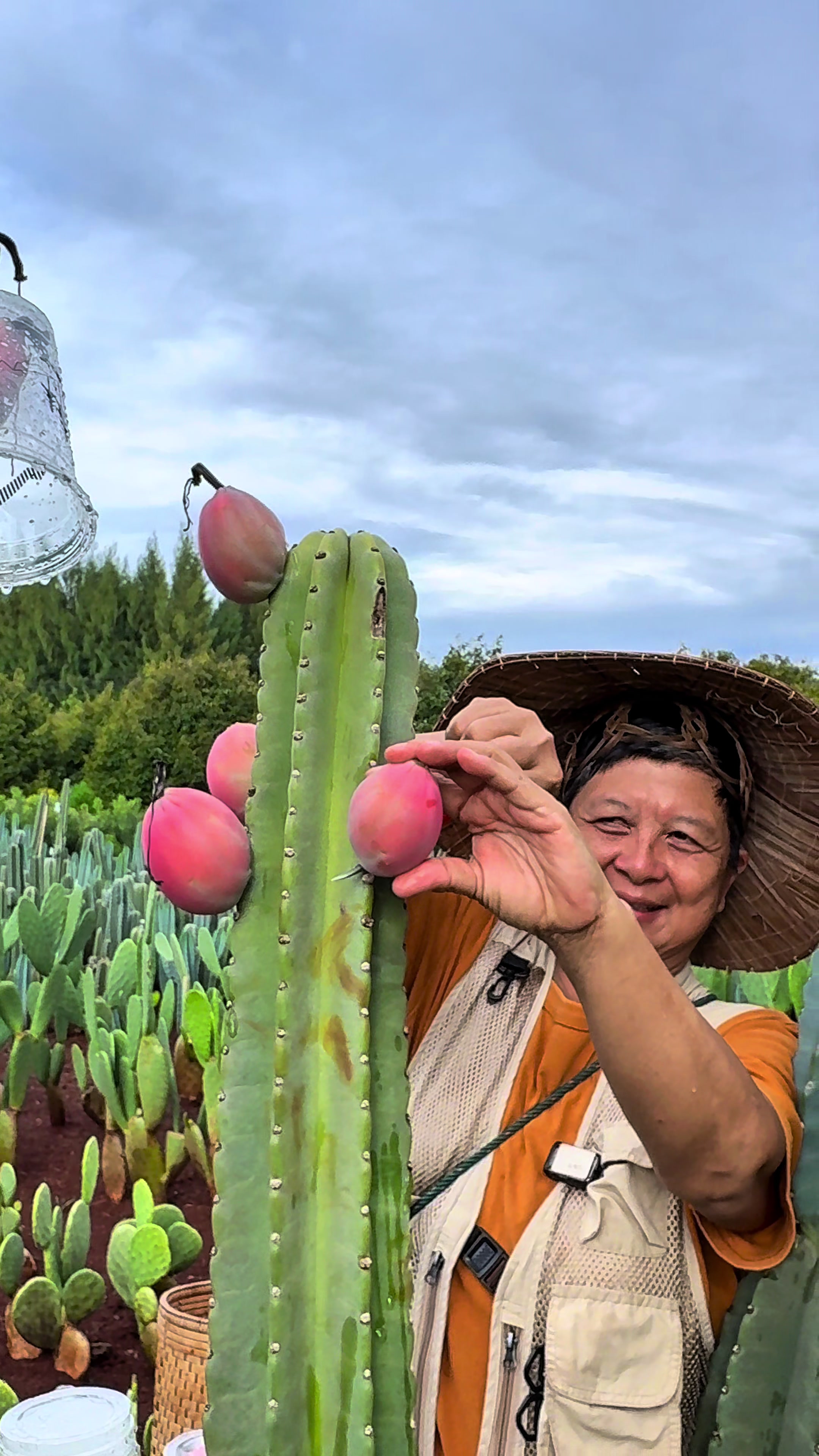 @ไร่วันยังขำ Oneyoungkham farm
