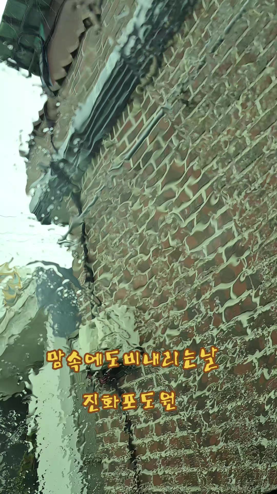 @진화포도원