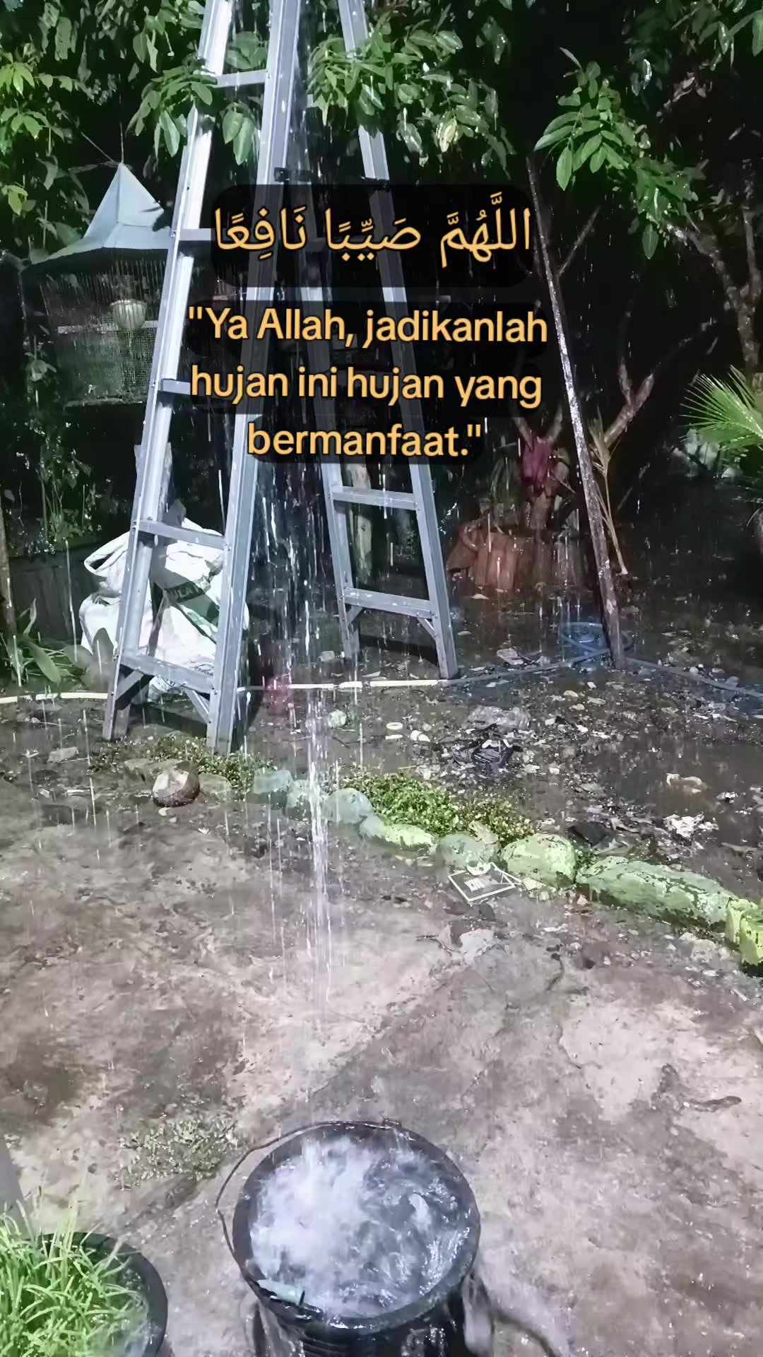 @Husaini Ahmaddo