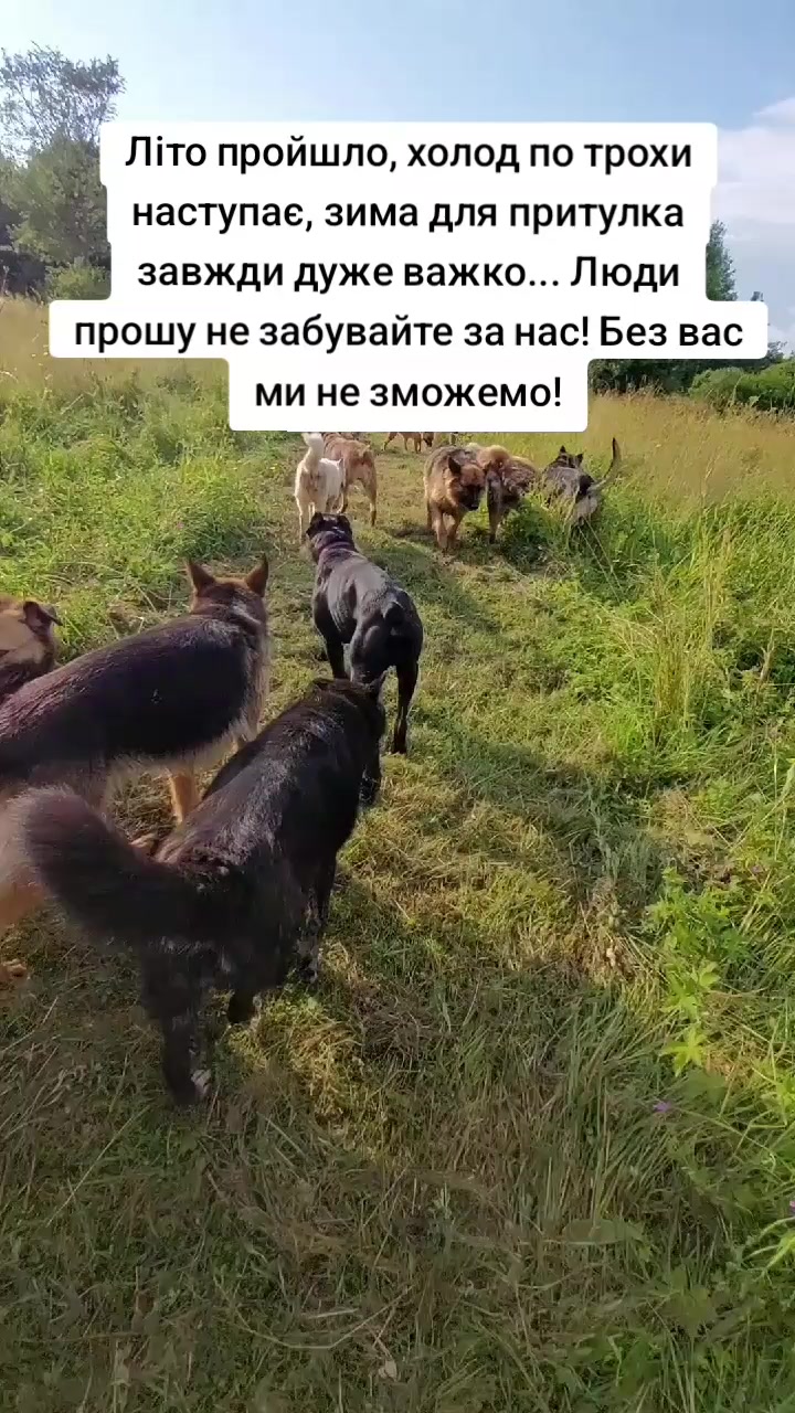 @tvarinkidobra