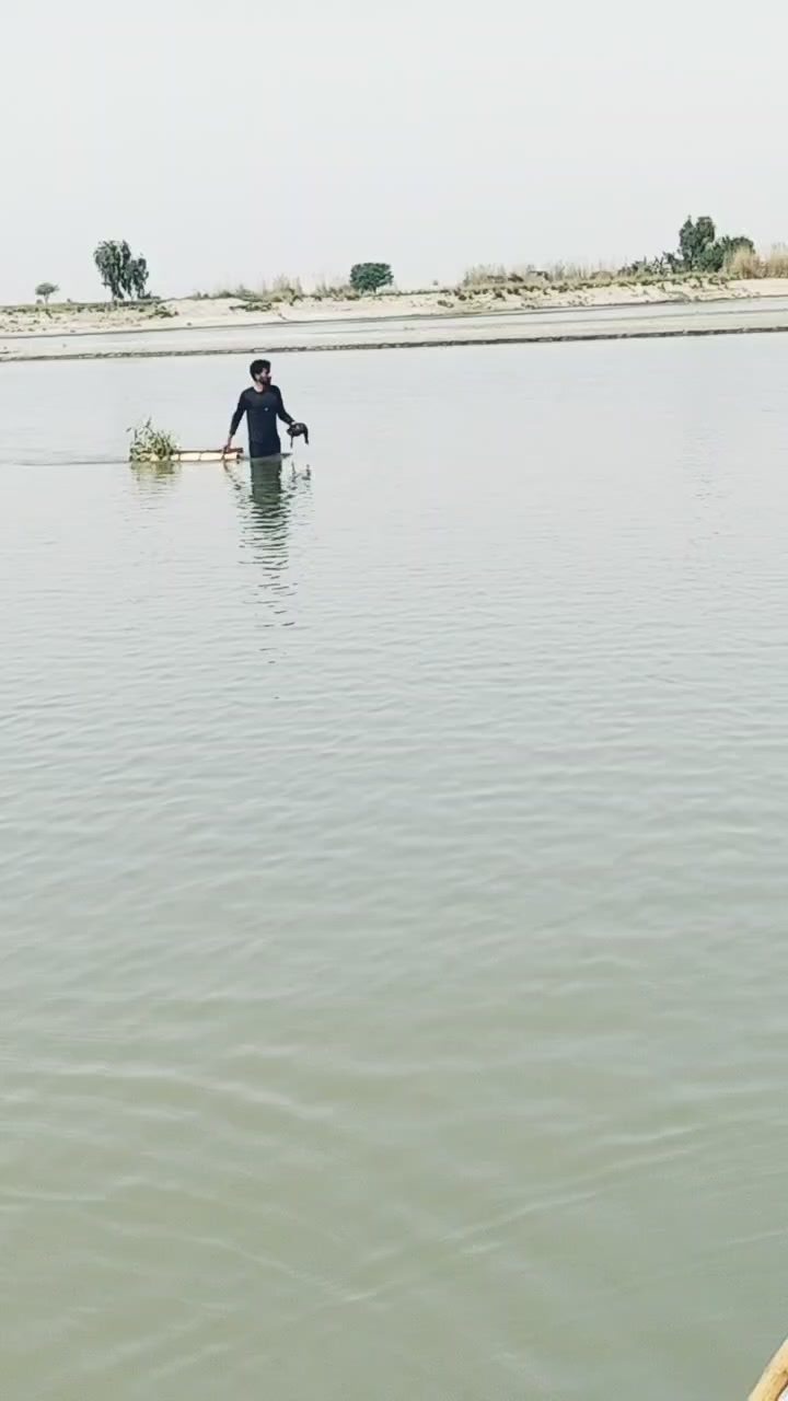 @معین
