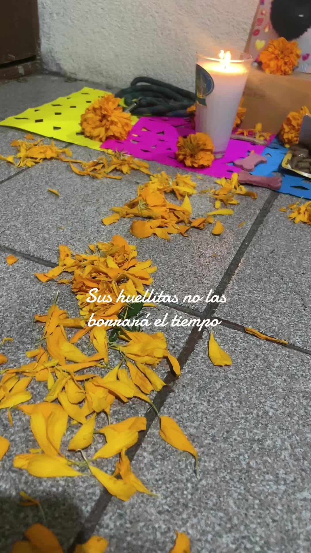 @Michelle Palmeros