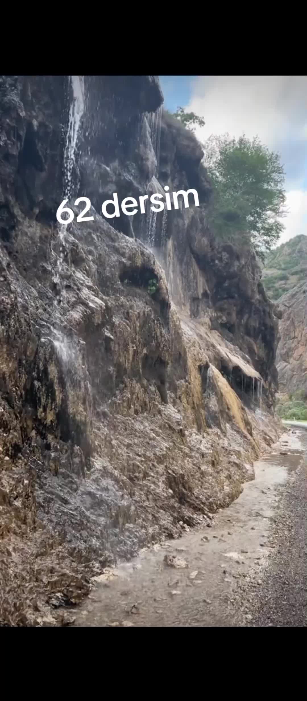 @Nesrin canla 📌🕊️